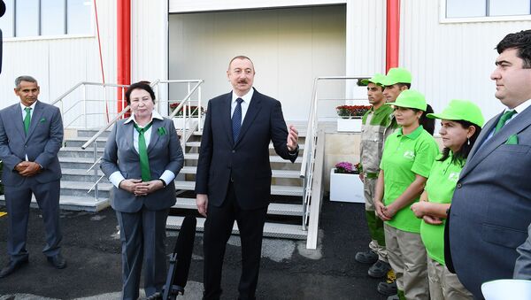 Prezident İlham Əliyev Ağdaşda Biyan Sənaye Parkının açılışında iştirak edib - Sputnik Azərbaycan