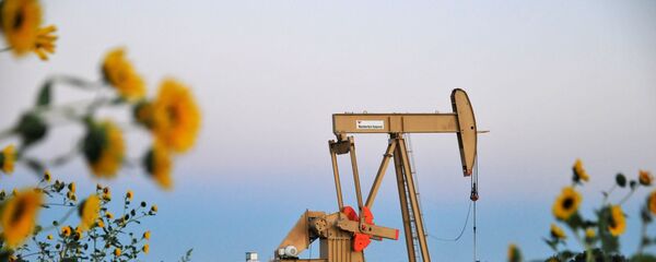 Нефтяная качалка, фото из архива Нефтяная качалка, фото из архива - Sputnik Азербайджан