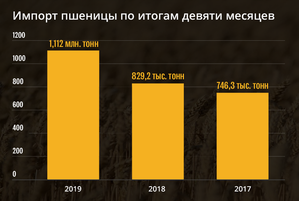 Не упустить время низких цен: почему импорт пшеницы в Азербайджан вырос на треть Не упустить время низких цен: почему импорт пшеницы в Азербайджан вырос на треть - Sputnik Азербайджан
