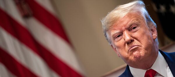 Президент США Дональд Трамп - Sputnik Азербайджан