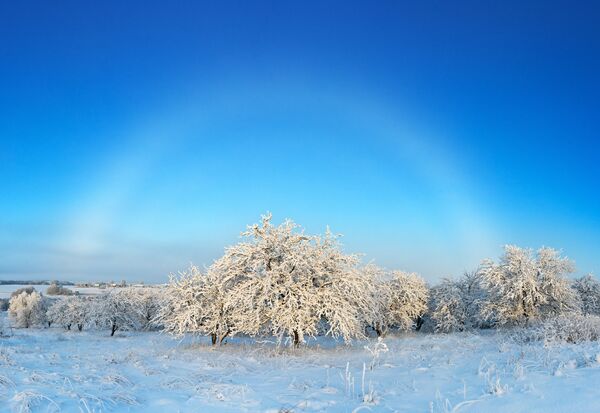 Снимок White misty rainbow over the winter garden  фотографа Elena Belozorova, ставший финалистом конкурса Weather Photographer of the Year 2019 - Sputnik Азербайджан
