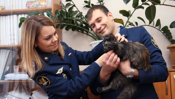 Кошка-наркокурьер поймана с поличным - Sputnik Азербайджан