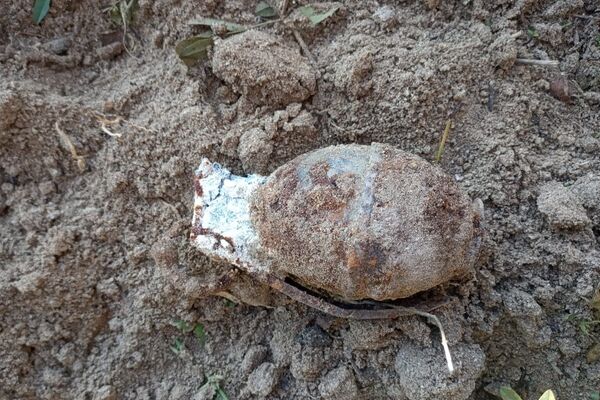 Ручная граната на месте обнаружения - Sputnik Азербайджан