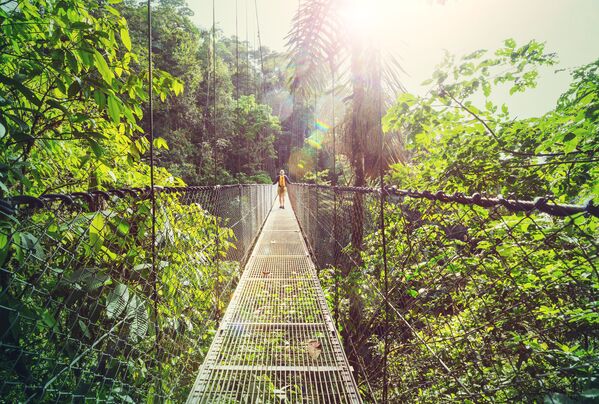 Прогулка в джунглях Коста-Рики в Центральной Америке  - Sputnik Азербайджан