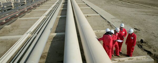 Строительные работы трансанатолийского газопровода (TANAP), фото из архива Строительные работы трансанатолийского газопровода (TANAP), фото из архива - Sputnik Азербайджан