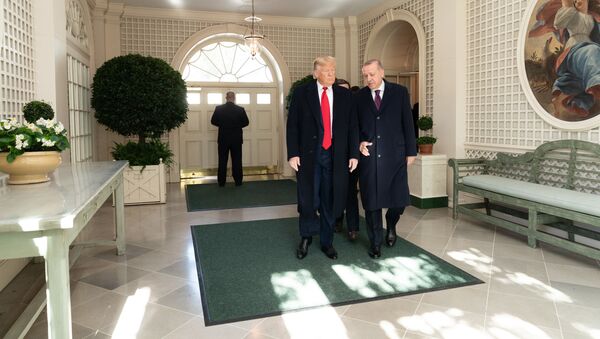 Встреча президентов США и Турции Дональда Трампа и Реджепа Тайипа Эрдогана - Sputnik Азербайджан