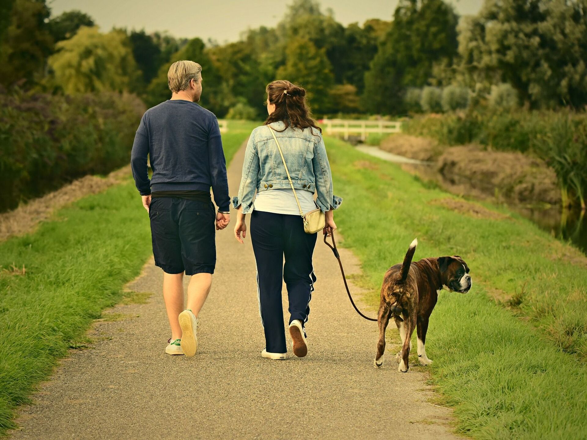 Прогулка. Прогулки на свежем воздухе с собакой. День прогулки. Неспешная прогулка.