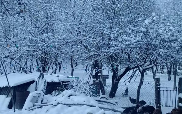 В северных районах Азербайджана выпал обильный снег - Sputnik Азербайджан