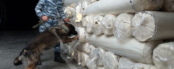Biləsuvar gömrük postunda süni dəri yükündə aşkarlanan 304 kiloqramdan çox heroin Biləsuvar gömrük postunda süni dəri yükündə aşkarlanan 304 kiloqramdan çox heroin - Sputnik Азербайджан