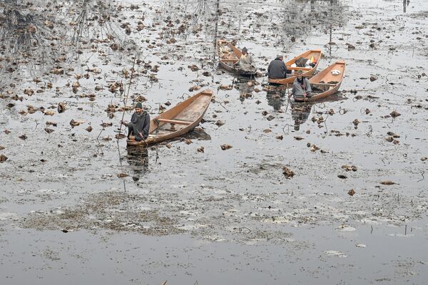 Мужчины в лодках на озере Нигин в Сринагаре - Sputnik Азербайджан