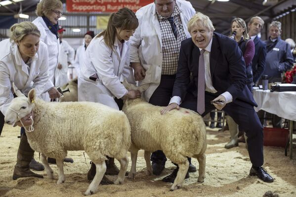Премьер-министр Великобритании Борис Джонсон посетил выставку округа Уэльс в Лланельведде, Уэльс - Sputnik Азербайджан