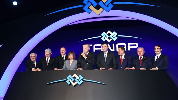Церемония открытия части проекта TANAP, которая будет соединена с Европой - Sputnik Azərbaycan