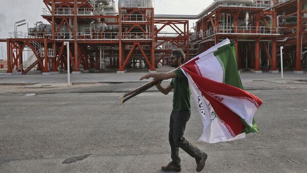 Иранский рабочий несет иранские флаги перед церемонией открытия завода - Sputnik Азербайджан