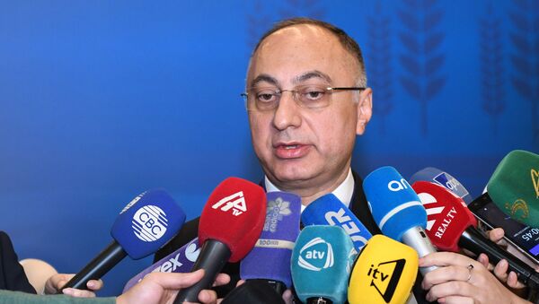 Председатель Агентства продовольственной безопасности Гошгар Тахмазли - Sputnik Azərbaycan