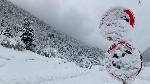 Занесенный снегом дорожные знаки - Sputnik Azərbaycan