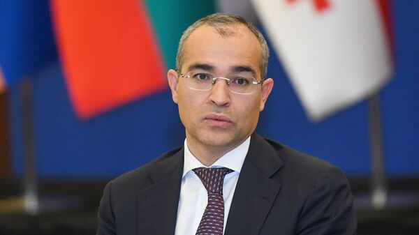 Министр экономики Азербайджана Микаил Джаббаров - Sputnik Azərbaycan