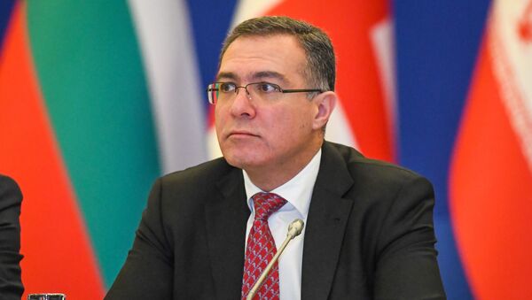помощник президента АР, заведующий отделом по экономическим вопросам и политике инновационного развития Администрации Президента Шахмар Мовсумов - Sputnik Азербайджан