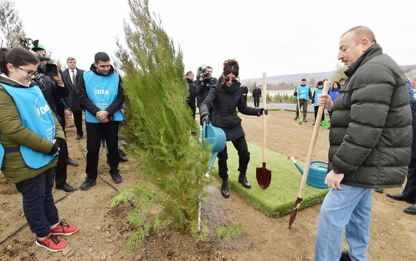 Президент Азербайджана Ильхам Алиев и Первая леди Мехрибан Алиева приняли участие в акции по посадке деревьев в Шамахинском районе - Sputnik Азербайджан