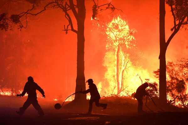 Волонтеры, пожарные и спасатели из Нового Южного Уэльса тушат пожар неподалеку от деревни Термейл, Австралия - Sputnik Азербайджан