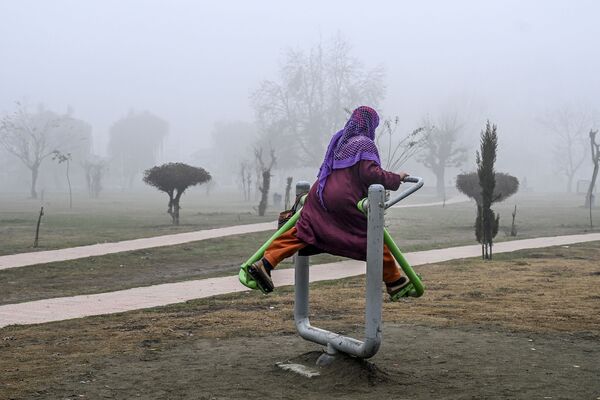 Тренировка в тумане в парке Сринагара, Индия - Sputnik Азербайджан