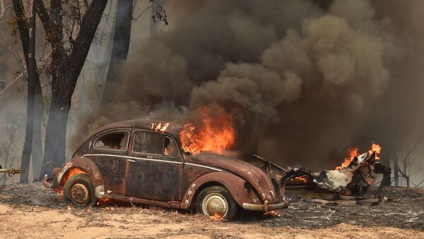 Машина, сгоревшая из-за лесных пожаров в Австралии - Sputnik Azərbaycan