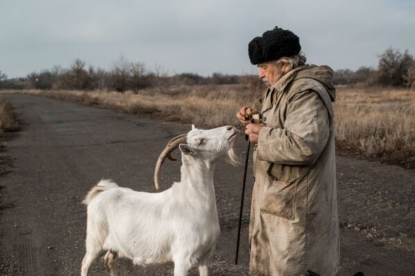 Пожилой мужчина с козой в поселке Донецкий Луганской области - Sputnik Азербайджан