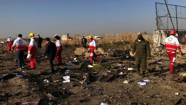 На месте крушения украинского пассажирского самолета в Тегеране - Sputnik Azərbaycan