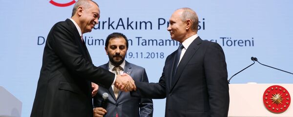 Президент России Владимир Путин и президент Турции Реджеп Тайип Эрдоган на церемонии официального открытия газопровода Турецкий поток Президент России Владимир Путин и президент Турции Реджеп Тайип Эрдоган на церемонии официального открытия газопровода Турецкий поток - Sputnik Азербайджан