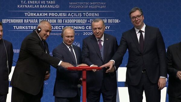 Путин и Эрдоган запустили работу газопровода Турецкий поток - Sputnik Азербайджан