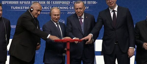 Путин и Эрдоган запустили работу газопровода Турецкий поток - Sputnik Азербайджан