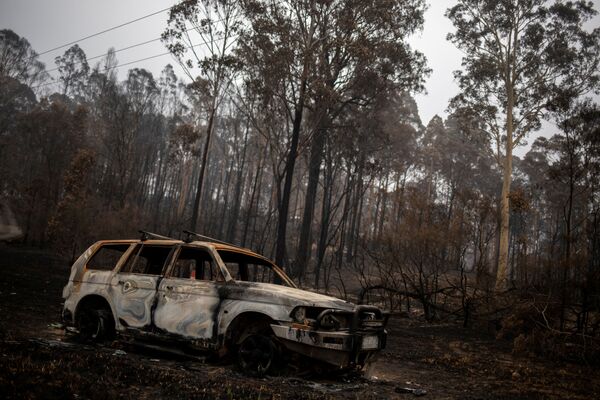Последствия лесного пожара в Австралии - Sputnik Азербайджан