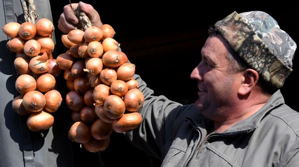 Продавец на продовольственной ярмарке, фото из архива - Sputnik Азербайджан