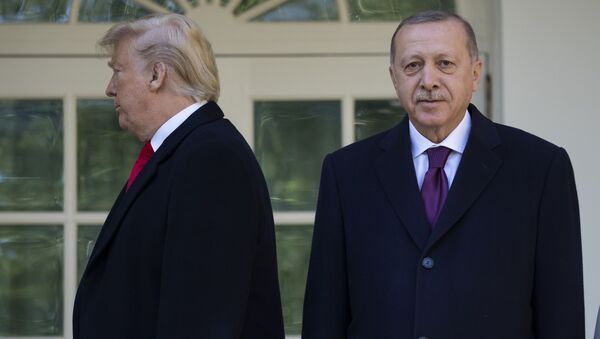 Президент США Дональд Трамп и президент Турции Реджеп Тайип Эрдоган перед встречей в Овальном кабинете Белого дома - Sputnik Azərbaycan
