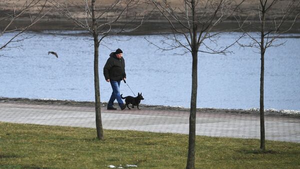 Мужчина гуляет с собакой, фото из архива - Sputnik Азербайджан