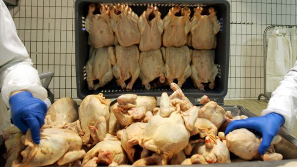 Рабочие птицефабрики сортируют курятину - Sputnik Azərbaycan