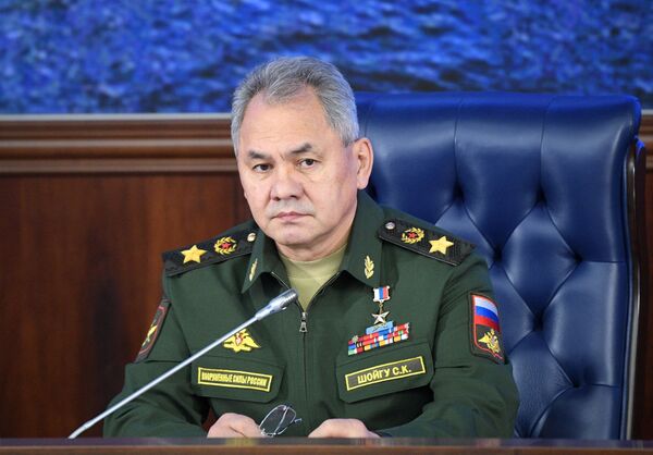 Министр обороны РФ, генерал армии Сергей Шойгу - Sputnik Азербайджан
