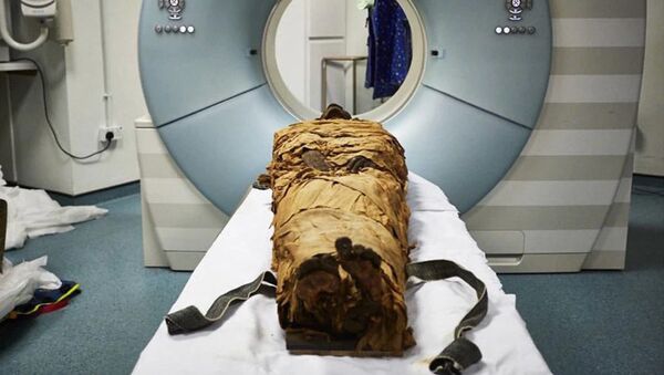 Компьютерная томография мумии жреца Несьямуна - Sputnik Azərbaycan