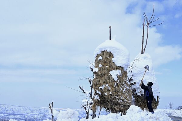 Житель индийской деревни очищает снег со стогов сена - Sputnik Azərbaycan