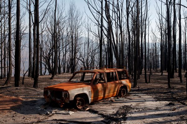 Сгоревшая машина в Долине Кенгуру в Австралии после лесных пожаров - Sputnik Азербайджан