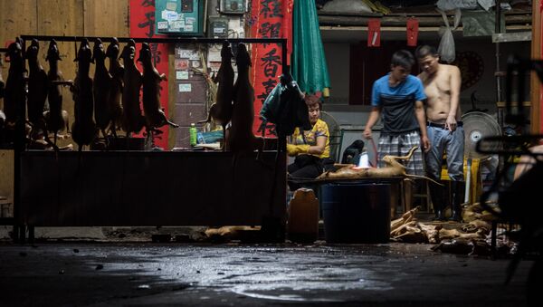 Поставщики мяса собак в китайской провинции Гуанси - Sputnik Azərbaycan