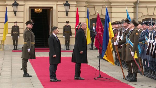 Эрдоган в Киеве поприветствовал почетный караул - Sputnik Азербайджан