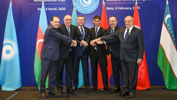Внеочередное заседание Совета министров иностранных дел Совета сотрудничества тюркоязычных государств (Тюркского совета) в Баку, 6 февраля 2020 года - Sputnik Азербайджан