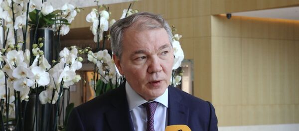 Придраться было не к чему - глава комитета Госдумы РФ о выборах в Азербайджане - Sputnik Азербайджан