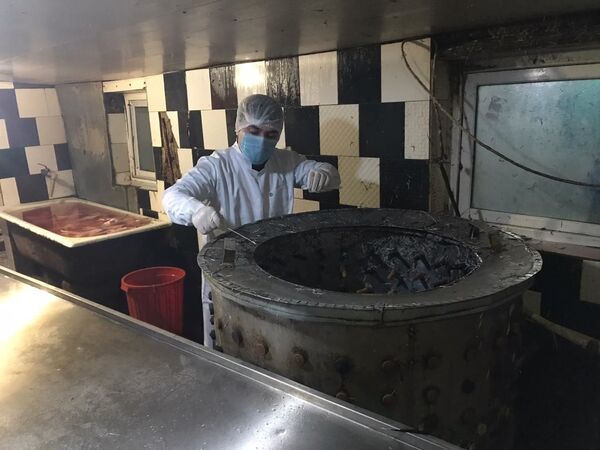 Цыпа, цыпа: в пригороде Баку прикрыли цех по обработке мяса птицы Цыпа, цыпа: в пригороде Баку прикрыли цех по обработке мяса птицы - Sputnik Азербайджан