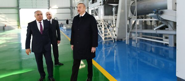 Президент Ильхам Алиев на презентации агропарка ООО «Глобал Агро» в Кюрдамире - Sputnik Азербайджан