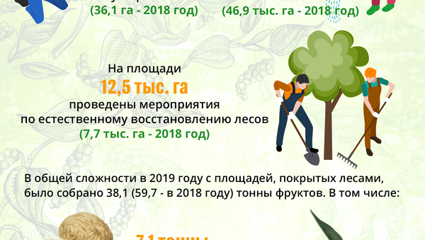 Инфографика: Как в Азербайджане восстанавливаются леса - Sputnik Азербайджан