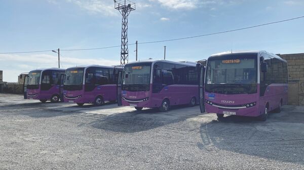 İsuzu Novociti markalı avtobuslar - Sputnik Azərbaycan
