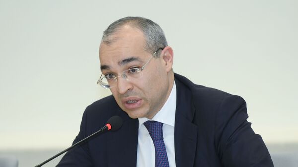 Министр экономики Микаил Джаббаров - Sputnik Азербайджан
