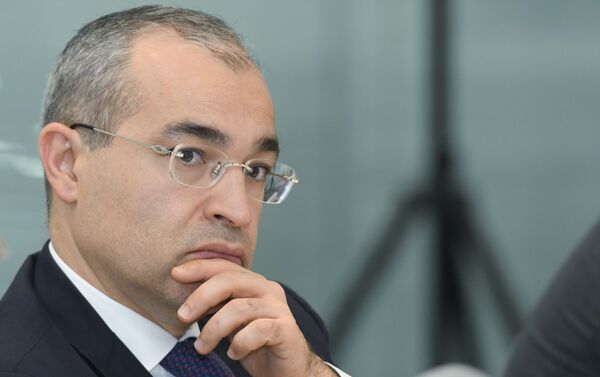 Министр экономики Микаил Джаббаров Министр экономики Микаил Джаббаров - Sputnik Азербайджан