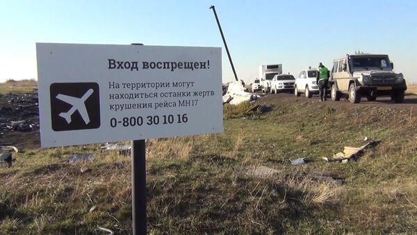 В Сети появились новые документы по делу о крушении MH17 - Sputnik Азербайджан